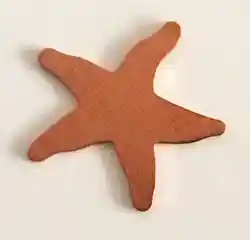 starfish copper shape