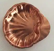 Sea Shell Tray